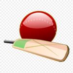 Falcons Cricket And Sports Club Logo — cricket bat ball